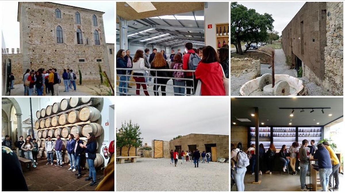 Visita à Fita Preta Vinhos