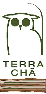 Terra Chã