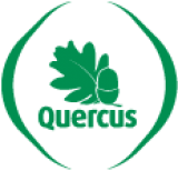 Quercus