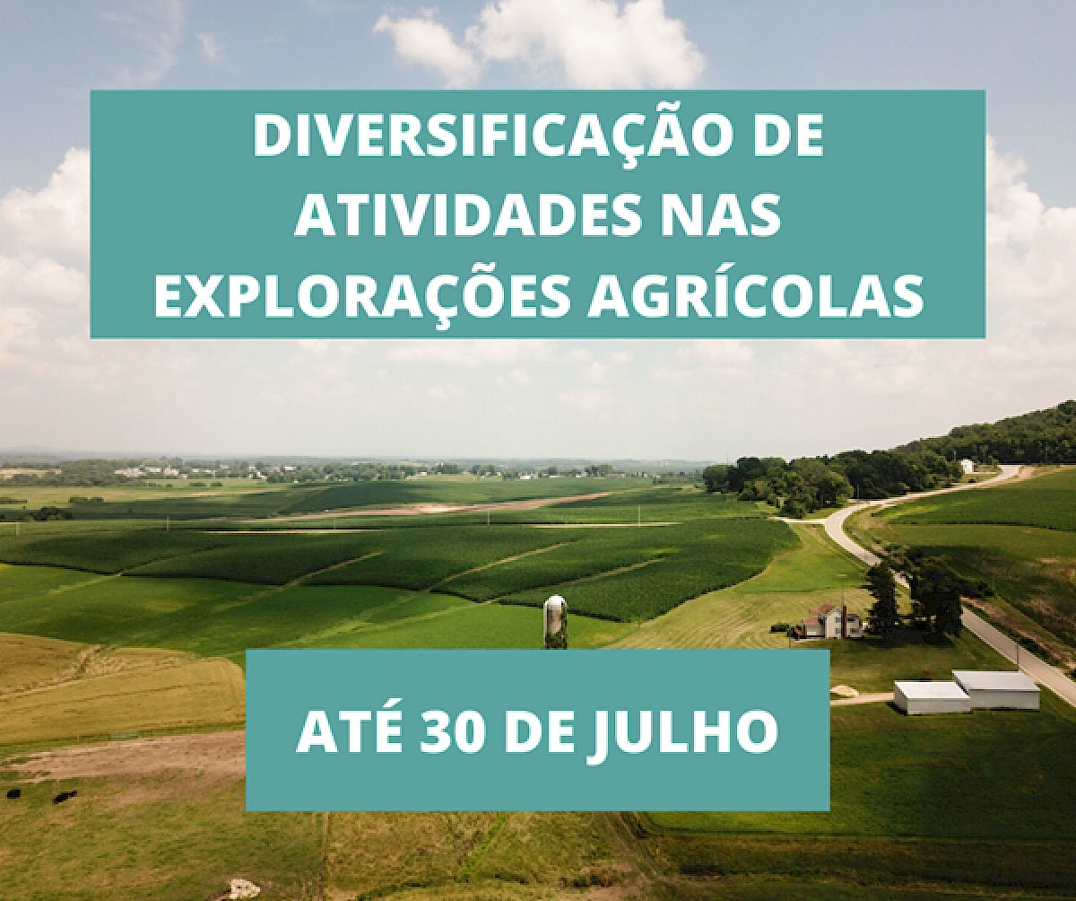 Aviso de concurso aberto até 31-07-2020