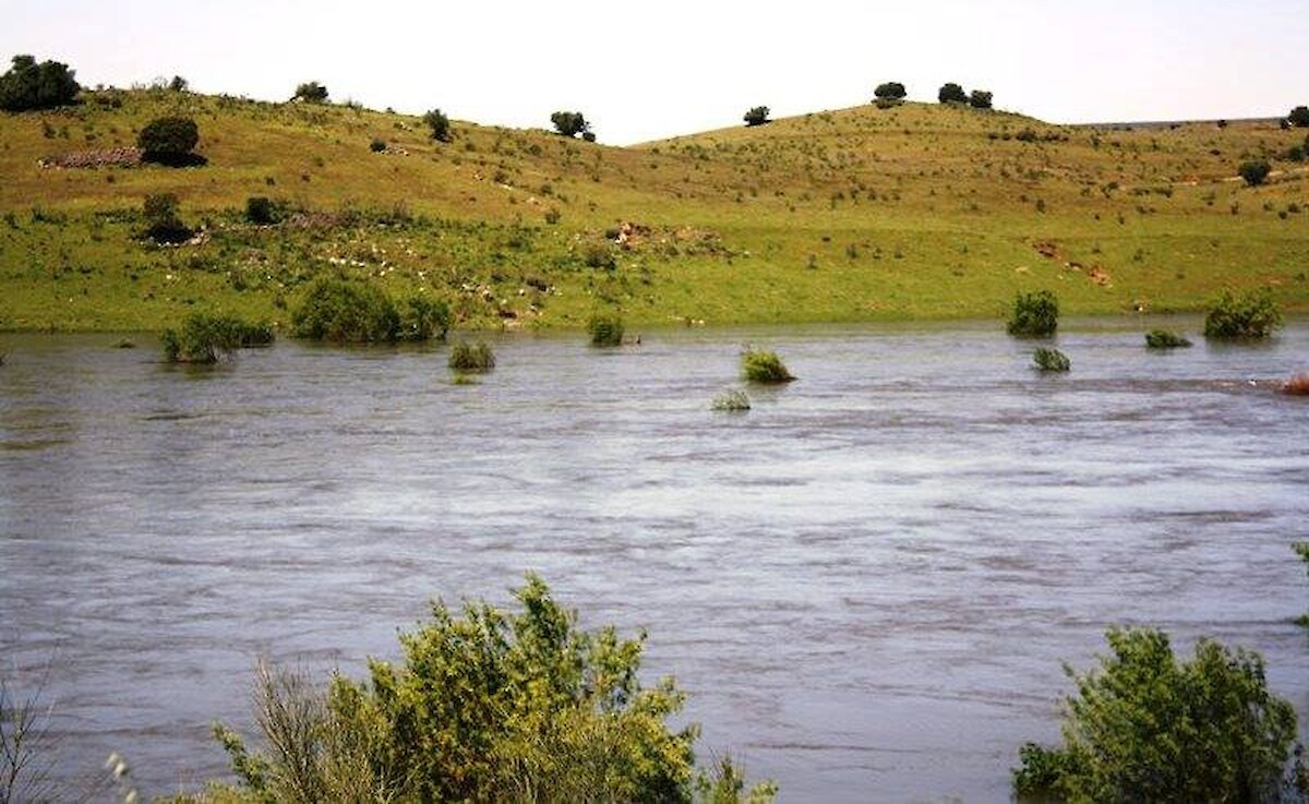 Atividade Agrícola deverá decrescer 3,3% em 2020