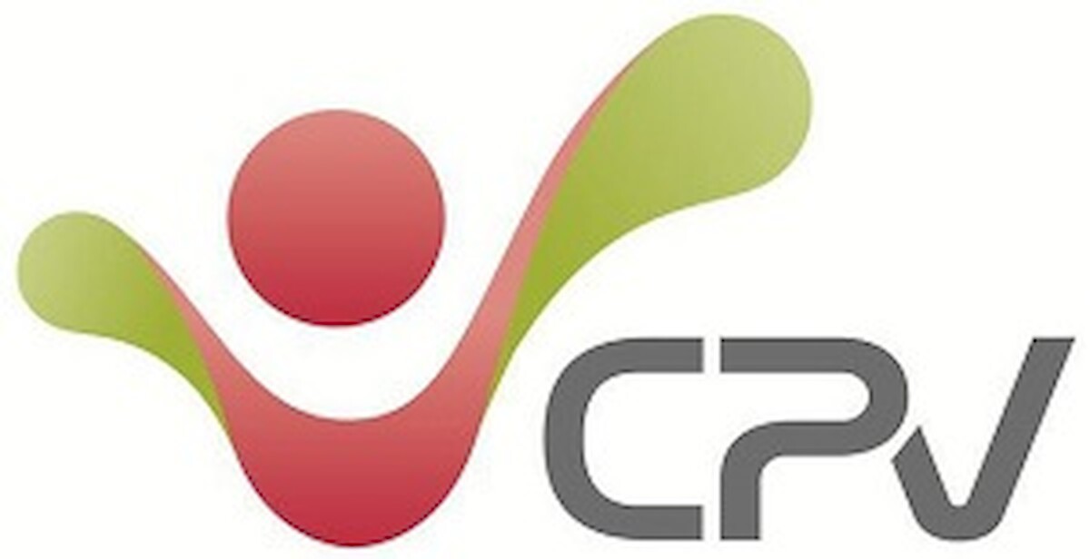 Sessão comemorativa do Dia Internacional do Voluntário