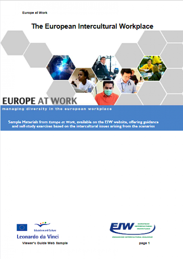 The European Intercultural Workplace