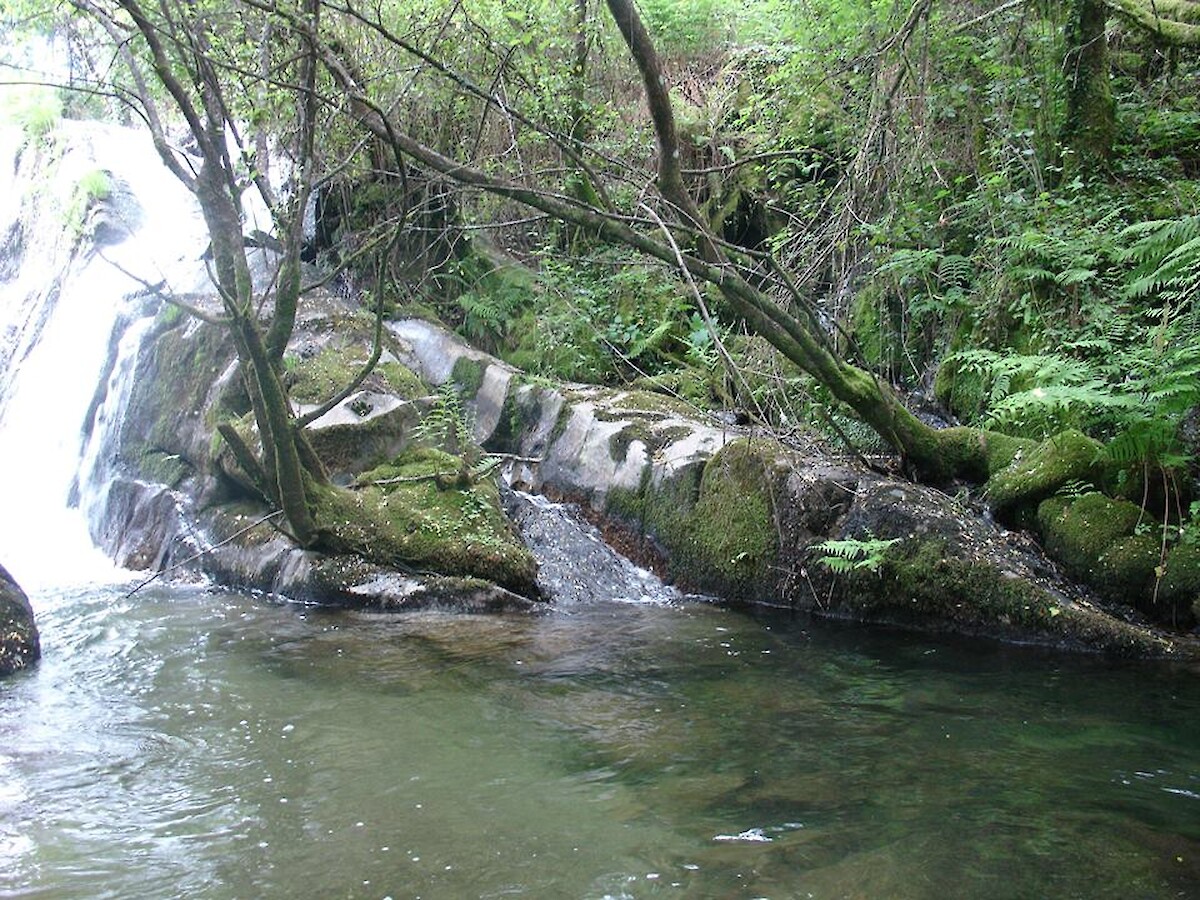Medidas Agroambientais para 2021