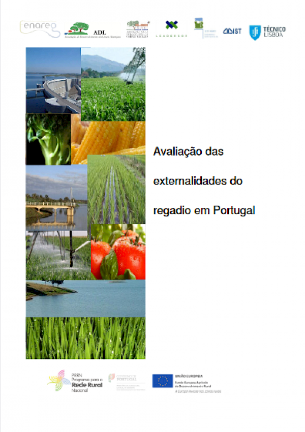 Avaliação das externalidades do regadio em Portugal