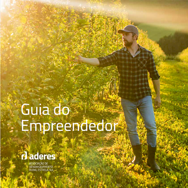 Guia do empreendedor