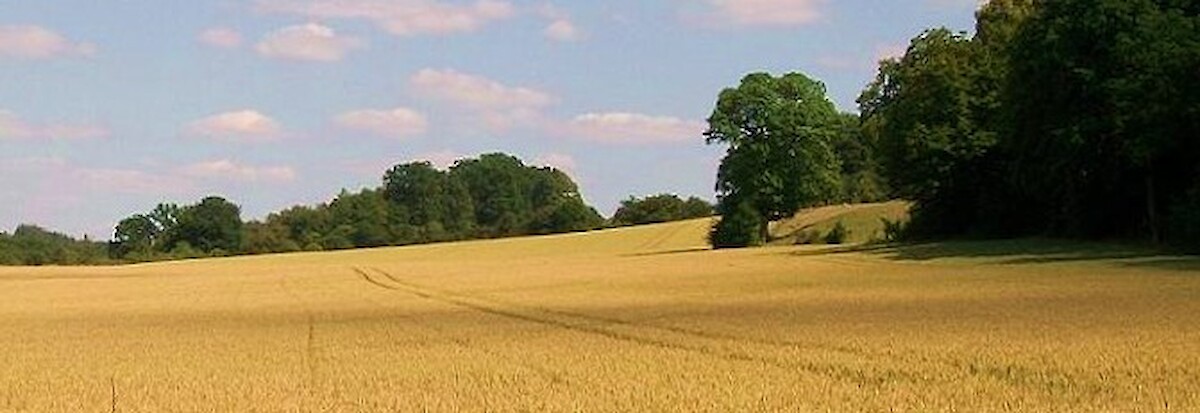 Explorações Agrícolas - Pequenos investimentos e Diversificação (PDR 2020)