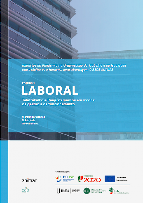 Impactos da Pandemia na Organização do Trabalho e na Igualdade entre Mulheres e Homens: uma abordagem à Rede Animar - Laboral: Teletrabalho e reajustamentos em modos de gestão e de funcionamento
