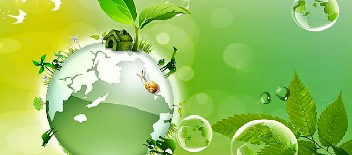 Curso Ecologia Alargada: desigualdade, decrescimento e diversidade