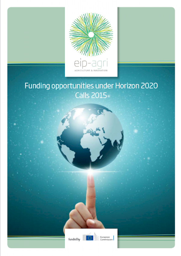 Funding opportunities for innovative projects via Horizon 2020