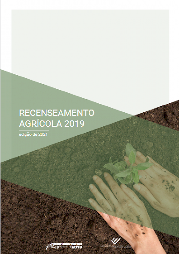 Recenseamento Agrícola - Análise dos principais resultados - 2019