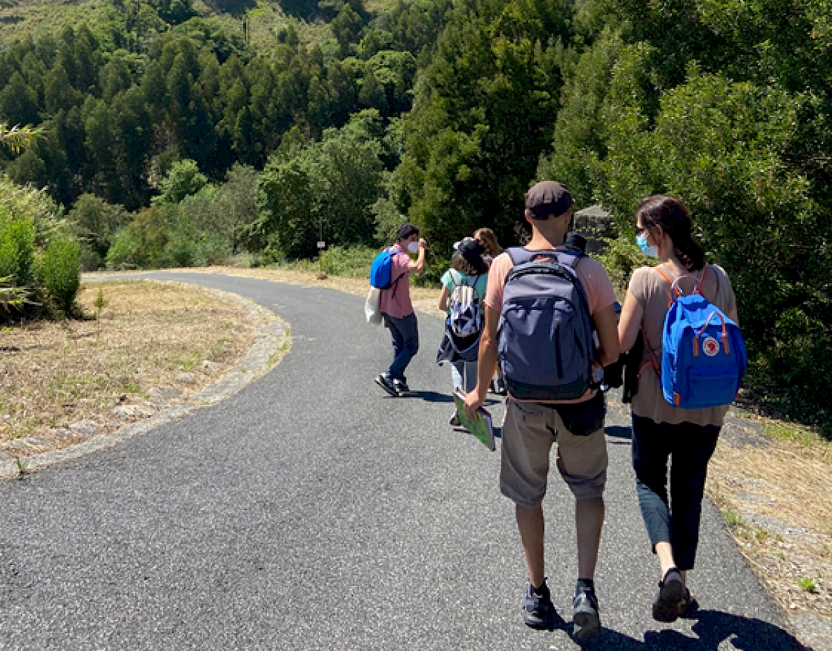 Escola Comunitária Sinergias ED