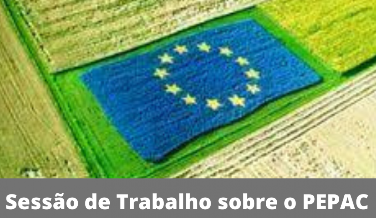 Sessão de trabalho PEPAC 28 de julho