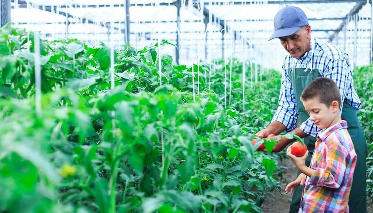 Alterações ao estatuto da agricultura familiar