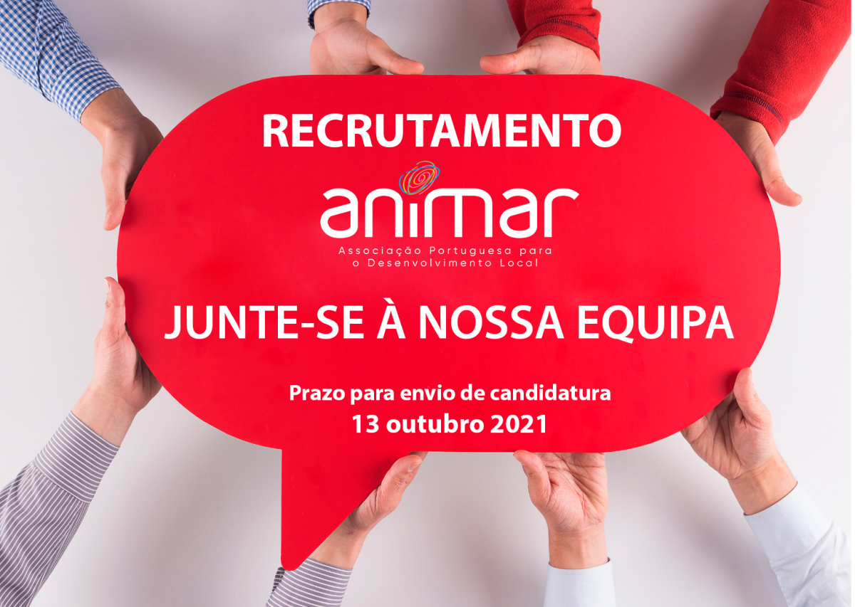 Recrutamento Animar | Técnico/a Superior | Candidatura até 13 de outubro