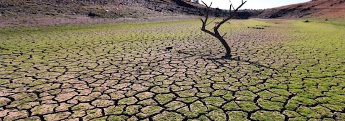 Lançado aviso de 1,23 milhões de euros para projetos de combate à desertificação