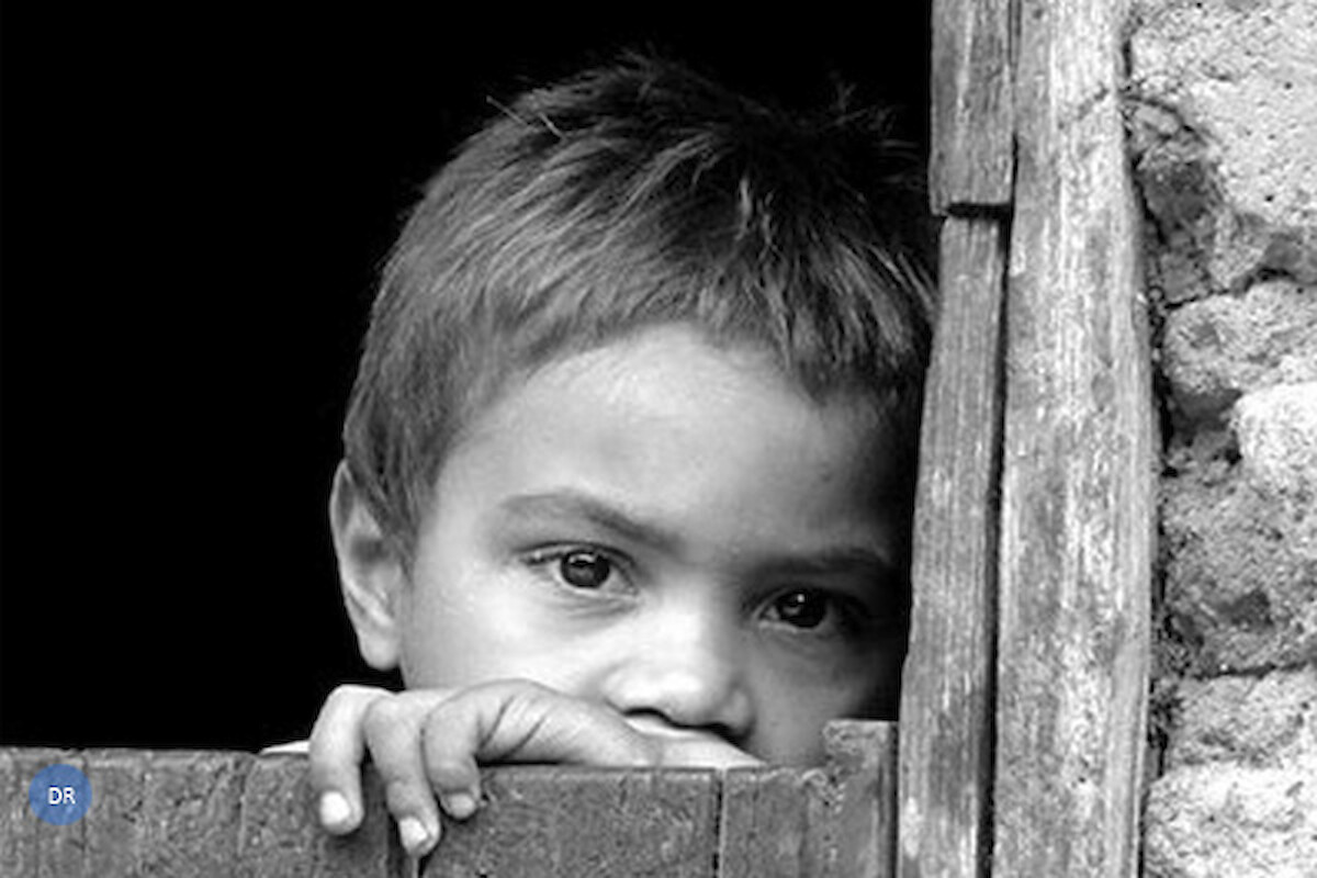 Parecer da Animar sobre a Estratégia Nacional de Combate à Pobreza 2021-2030