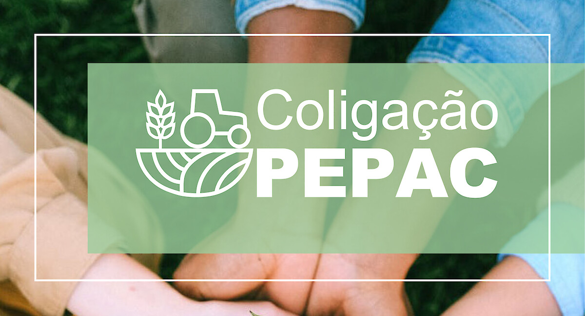 A Coligação Cívica – Participar no PEPAC