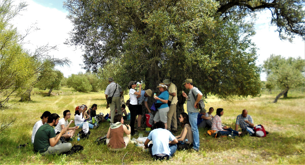 ADCMoura Resenha de 2021