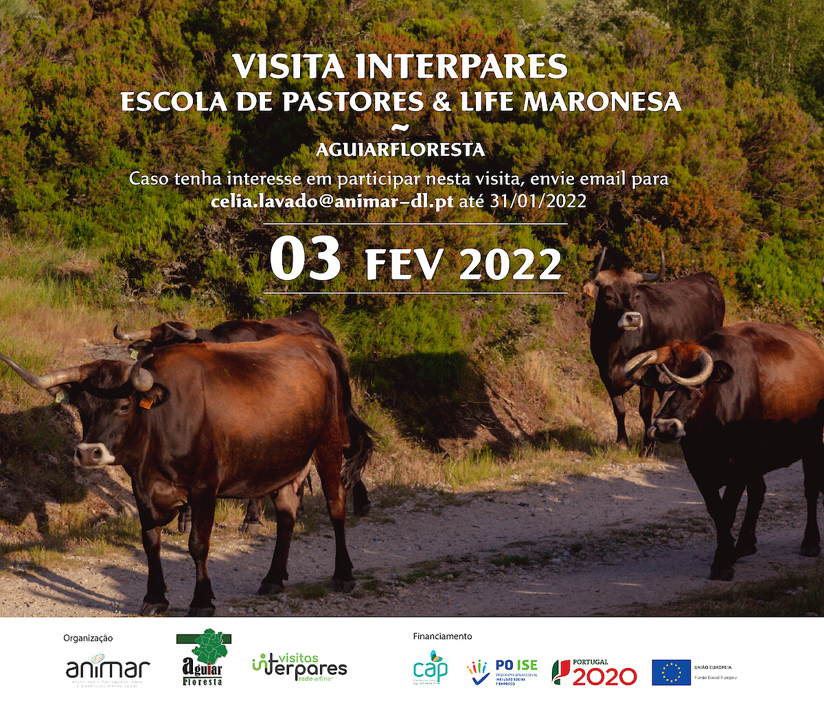 Visita InterPares à Escola de Pastores - AguiarFloresta | 03 fevereiro'22
