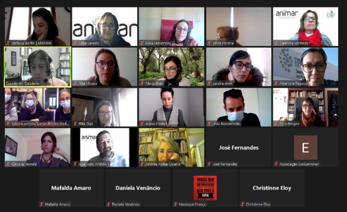 Oficina de Livros Cartoneros e os Roteiros Animar