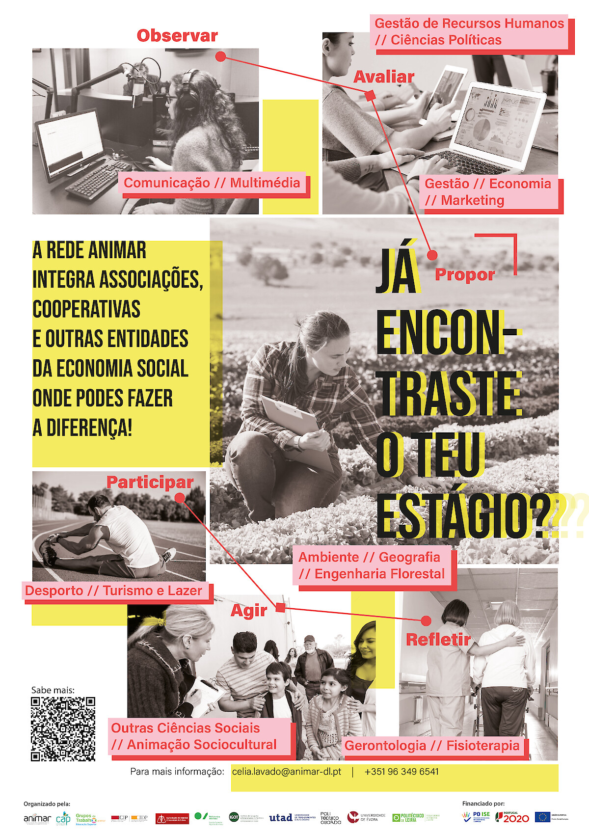 Estágios curriculares para estudantes universitários/as