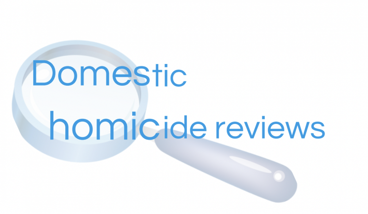 "Análise Retrospetiva de Homicídios Domésticos"